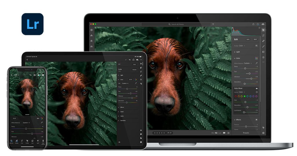 Lightroom PC chỉnh ảnhLightroom PC chỉnh ảnh